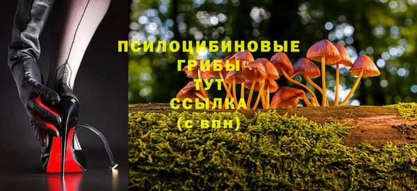 каннабис Дмитриев