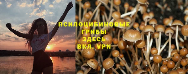 mdma Дмитров