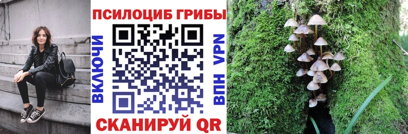 Купить где  Сертолово  Псилоцибиновые грибы Magic Shrooms 