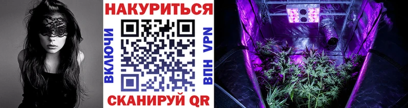 Купить  Сертолово  Канабис ГИДРОПОН 